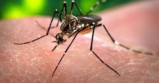 Zika: Especialistas identificam doença misteriosa