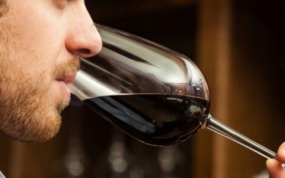 PMJP capacita profissionais de bares e restaurantes para atender consumidores de vinho