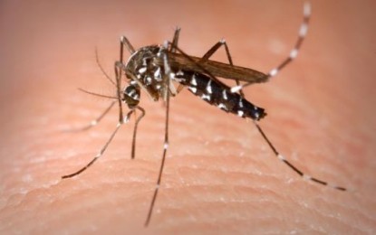 Prefeitura amplia parcerias com entidades da sociedade civil para combater Aedes aegypti