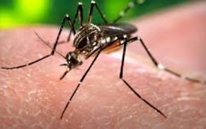 Zika: Especialistas identificam doença misteriosa