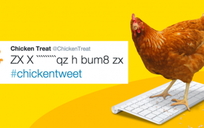 VEJA VÍDEO- Rede australiana de restaurantes coloca uma galinha para postar no Twitter