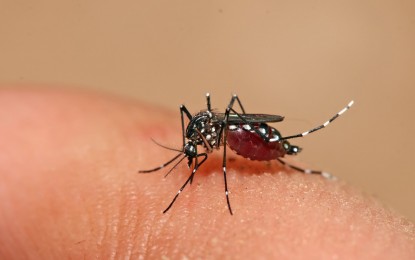 Gastos com a dengue no Brasil chegam a R$ 2,7 bilhões, aponta estudo