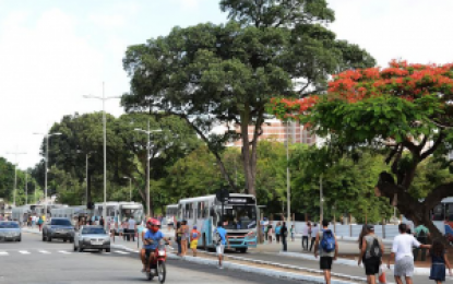 NOVA LAGOA: PMJP disponibiliza internet grátis em paradas de ônibus e modifica tráfego