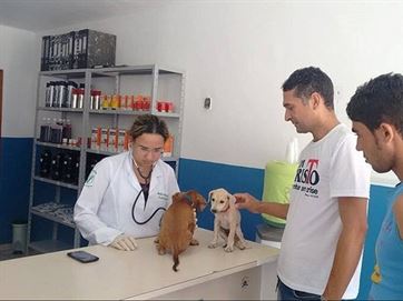 PB ganha primeira farmácia gratuita de consulta e entrega de remédios para animais