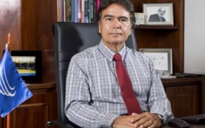 Ex-ministro da Saúde apoiará pedido de aborto legal por microcefalia no STF