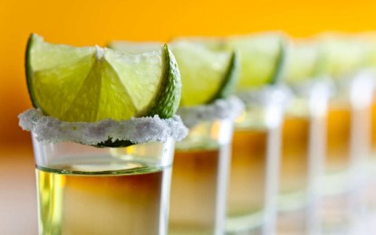 Principal ingrediente da tequila pode curar osteoporose