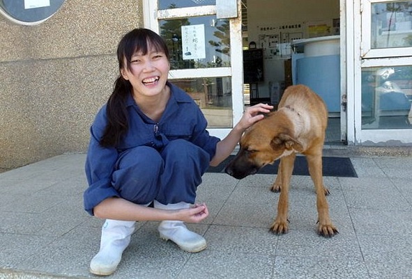 Após ser obrigada a sacrificar 700 cães veterinária se suicida com mesmas drogas que aplicava