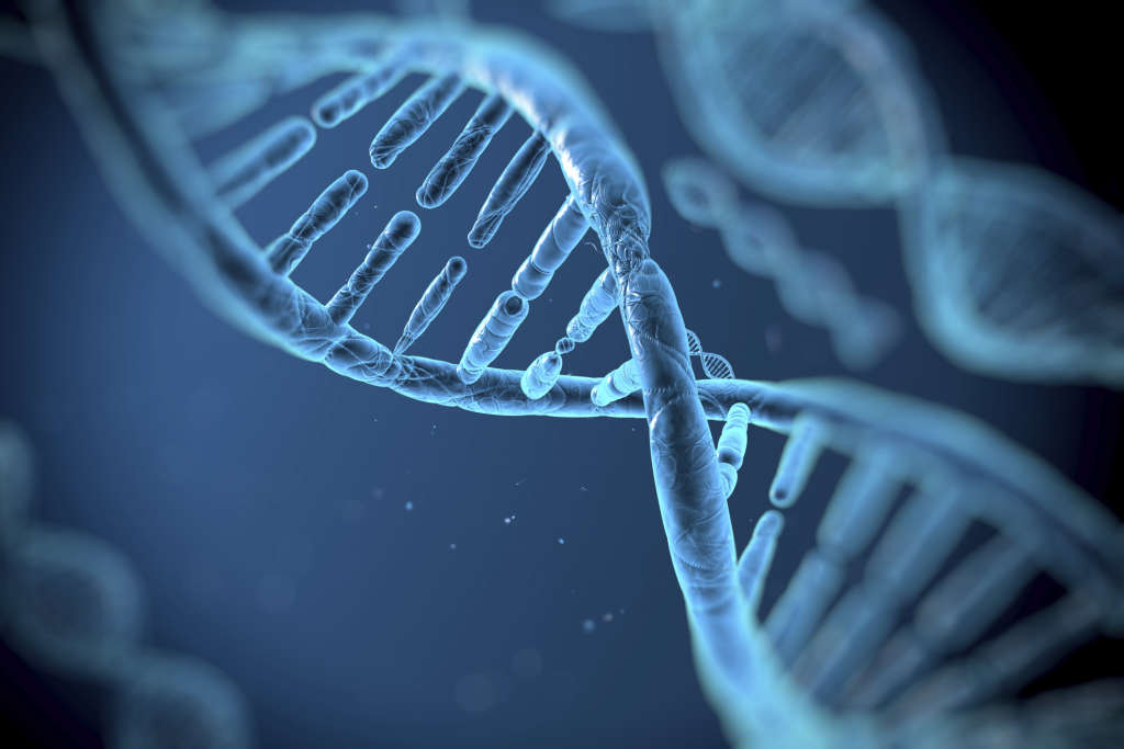 Genes podem influenciar a idade que você perde a virgindade