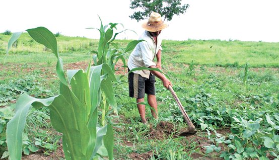 Banco Mundial e Governo Federal aprovam projeto de R$ 300 milhões destinado à população rural da Paraíba