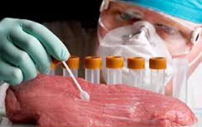 Cientistas avançam em pesquisa para produzir carne sem abate animal