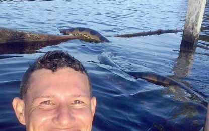 Amazonense pula na água para tirar “selfie” com anaconda, e imagem bomba na web