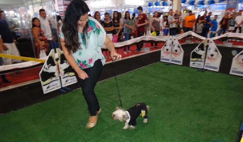 Brasil Mostra Brasil impulsiona mercado de pets em João Pessoa