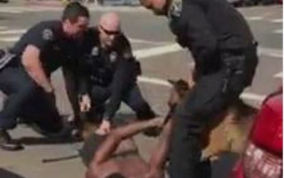 VEJA VÍDEO: Cão policial morde suspeito algemado