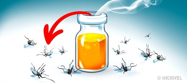 9 aromas que afugentam os mosquitos
