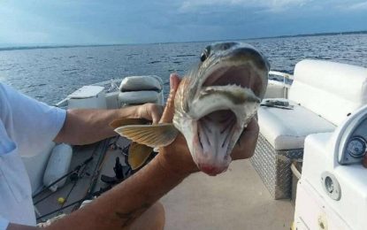 Mulher se surpreende ao pegar peixe de duas bocas em lago