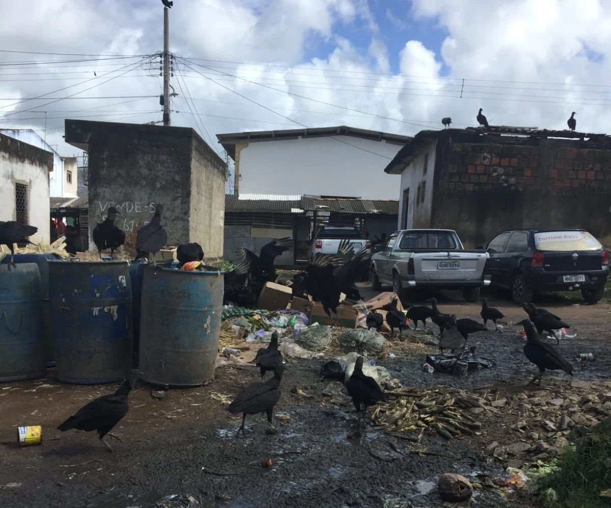 Prefeita de Mamanguape gasta R$ 10 milhões com coleta de lixo em dois anos, mas cidade continua suja