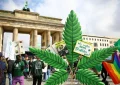 Alemanha legaliza o consumo recreativo da maconha; veja regras