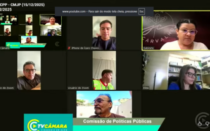 CPP é favorável a Programa Municipal de Atendimento Integral a Crianças e Adolescentes Vítimas de Violência