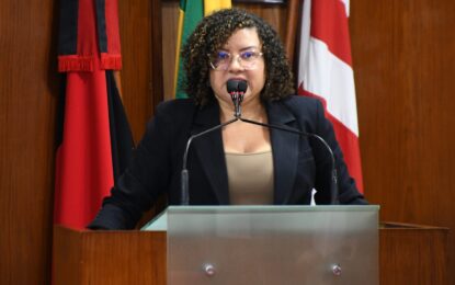 Alagamentos: vereadora cobra ações de prevenção